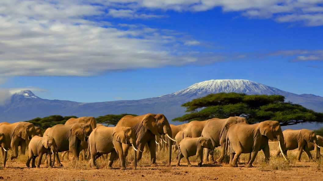 Best time to visit Kenya