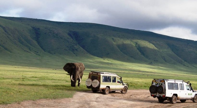 Serengeti safari tours