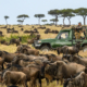 Kenya Great Migration Safari