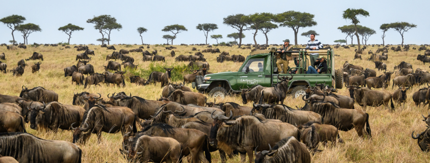 Kenya Great Migration Safari