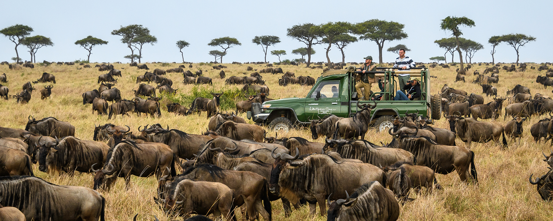 Kenya Great Migration Safari