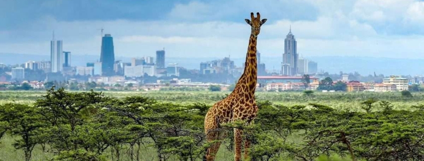 Kenya Honeymoon Itinerary