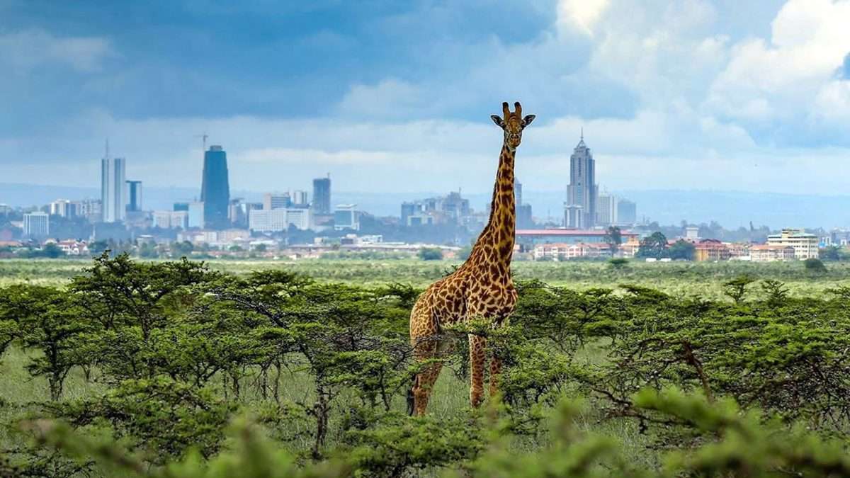 Kenya Honeymoon Itinerary