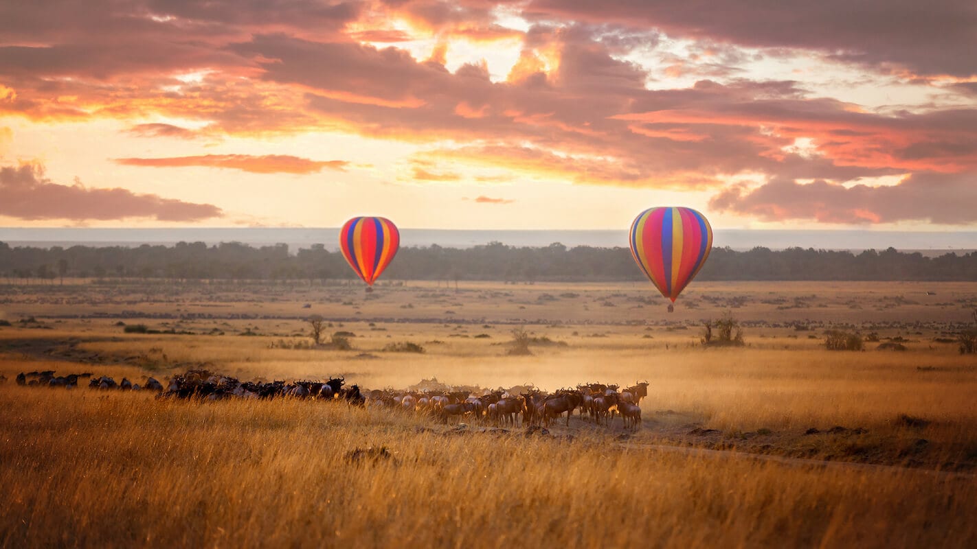 Best time to visit Kenya and Tanzania