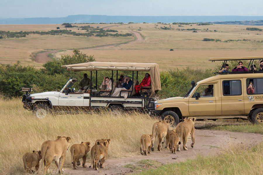 Best time to visit Kenya