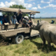 Ol Pajeta Conservancy Kenya