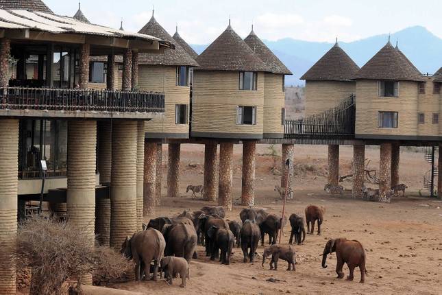 Mombasa Safari