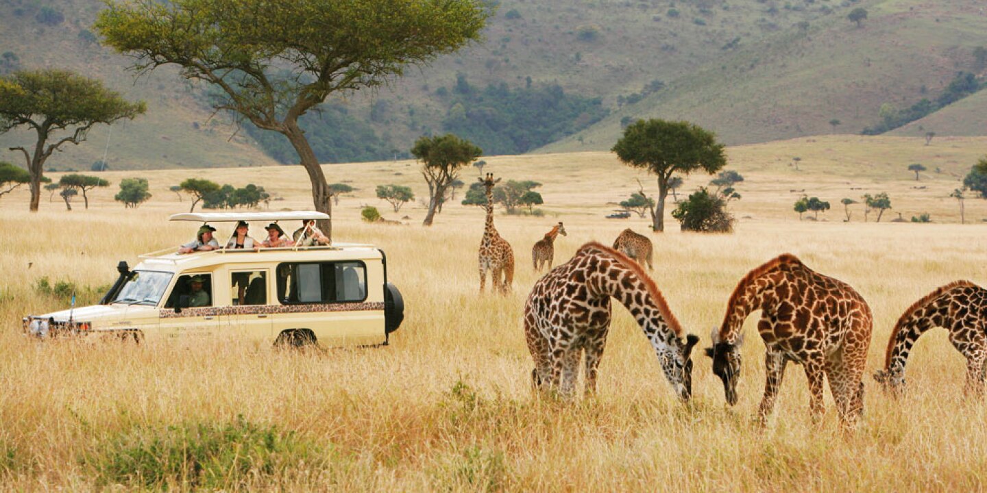 Tanzania Budget Safaris