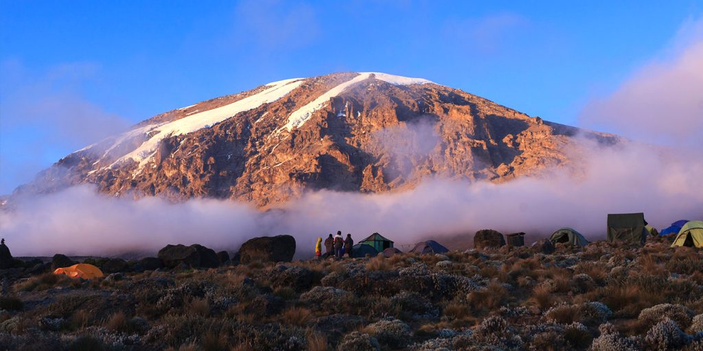 Safari Kilimanjaro National Park