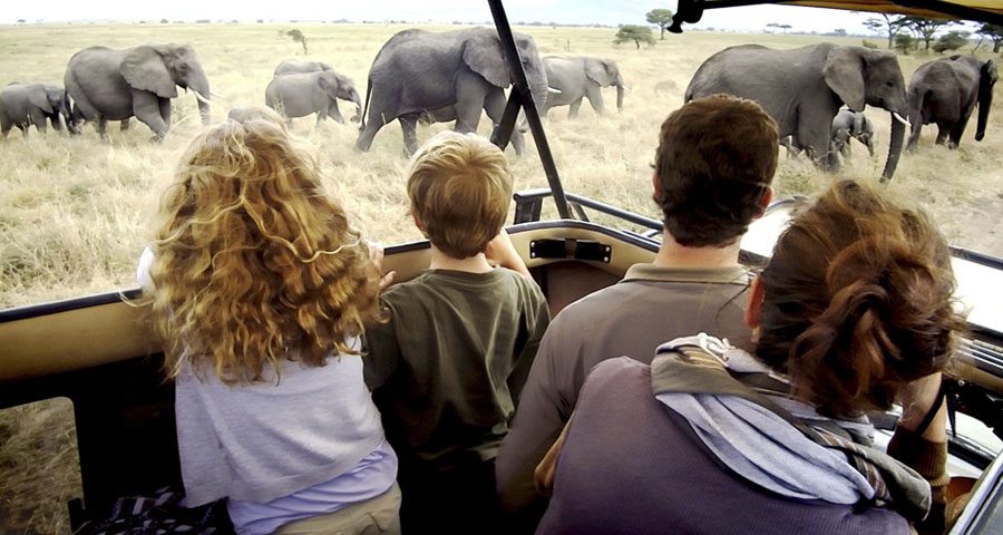 Tanzania Family Safaris