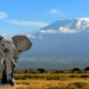 Kilimanjaro Mountain Climbing Tours