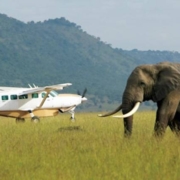 Kenya Flying Safaris