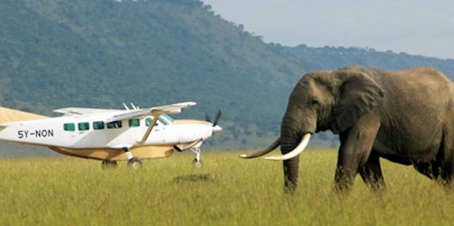 Kenya Flying Safaris