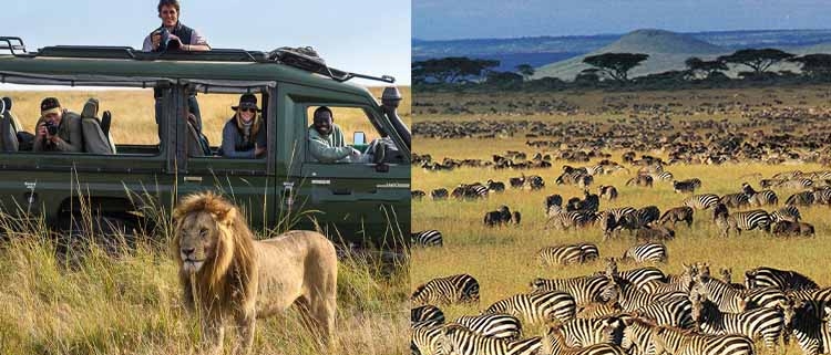 safari in Tanzania or Kenya