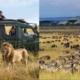 safari in Tanzania or Kenya