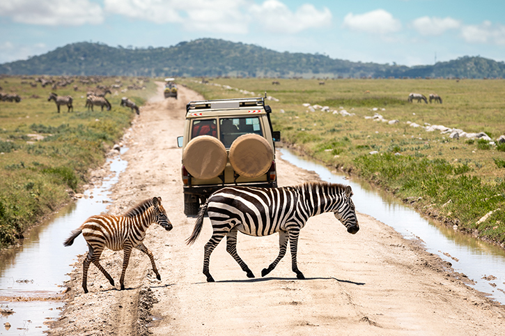 Tanzania Tour Operators