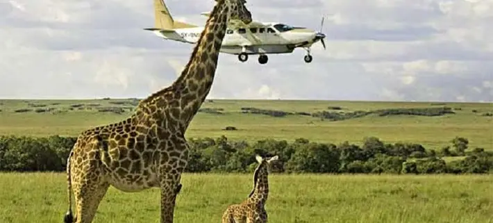 Kenya Flying Safaris