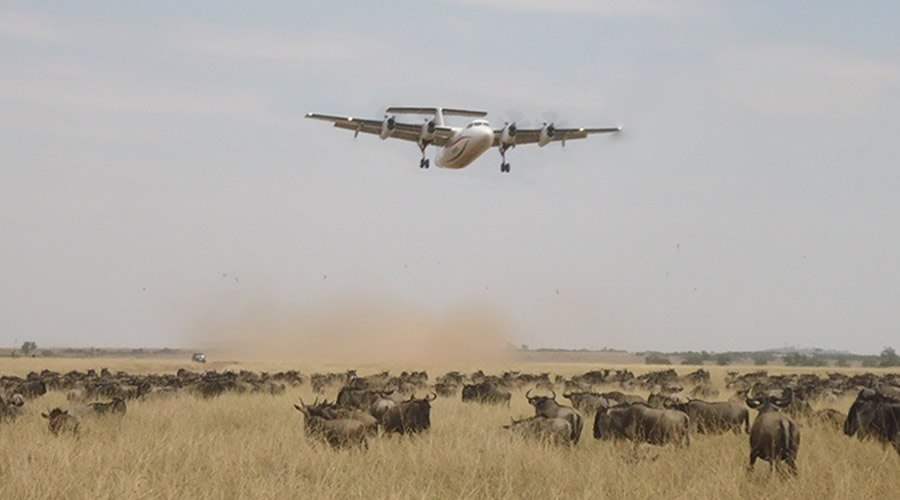 Kenya Flying Safaris