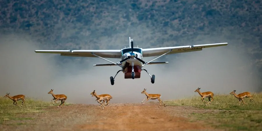 Kenya Flying Safaris