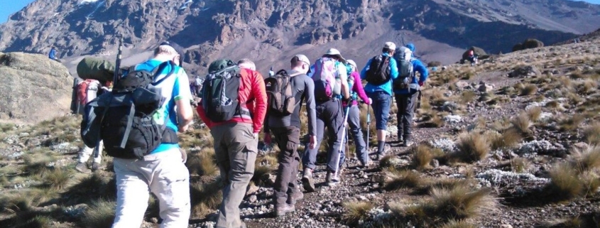 Kilimanjaro Mountain Climbing Tours