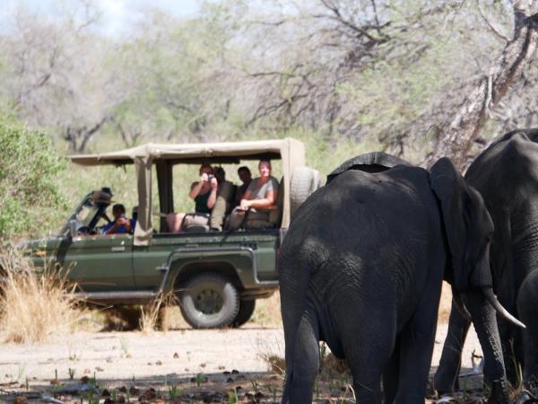 Selous Safari Holidays