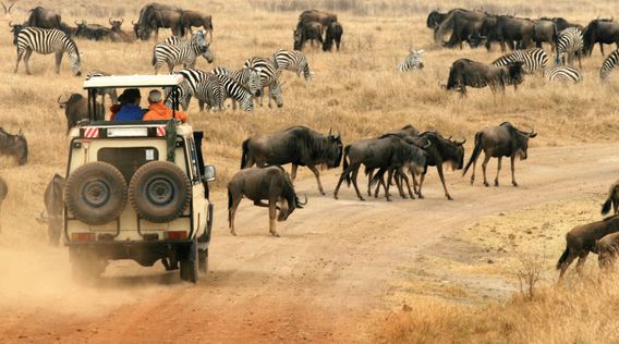 African safari Tanzania