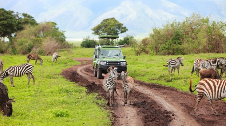 Safari in Tanzania Serengeti