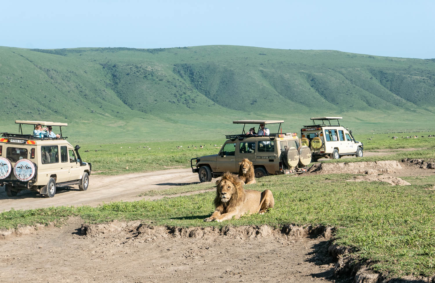 Ngorongoro Crater Safaris