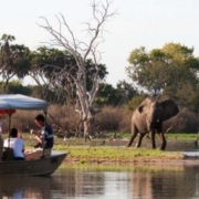 Selous Safari Holidays