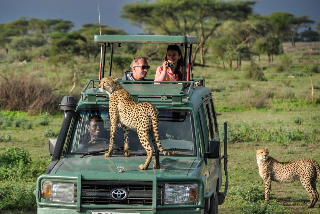 Selous Safari Holidays