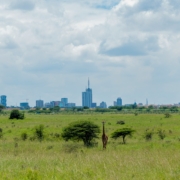 green grass field with green trees and buildings in distance under white clouds and blue sky