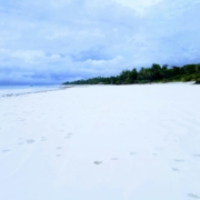 a beach with trees and a hill in the background