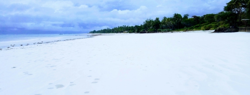 a beach with trees and a hill in the background