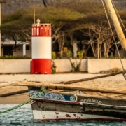 brown and white paddleboat on shoreline