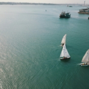 three white sailboats on body of water during daytime