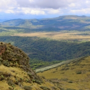 a view of a valley with mountains in the background