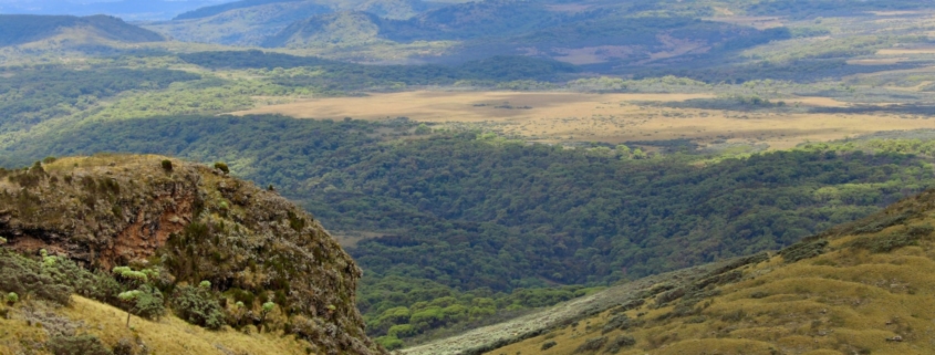 a view of a valley with mountains in the background