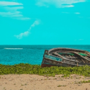 a boat on the beach